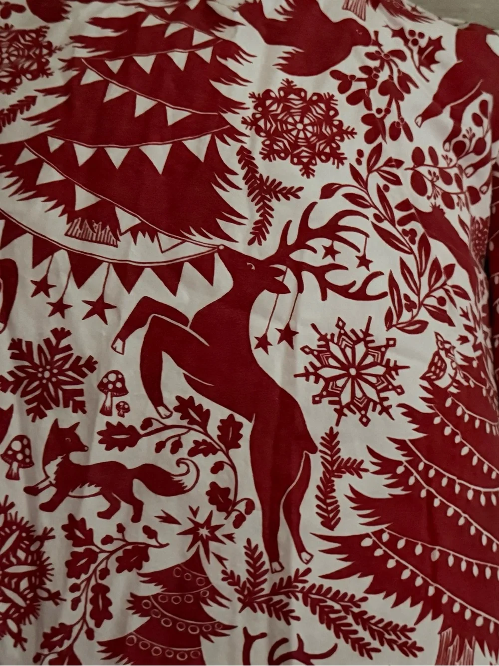 Pottery Barn Organic Christmas Nordic Queen Fitted & Flat Sheet